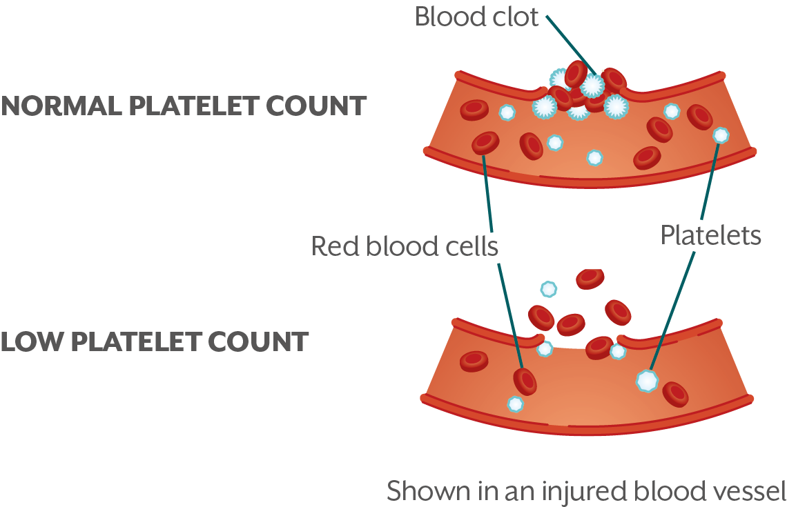 Shown in an injured blood vessel